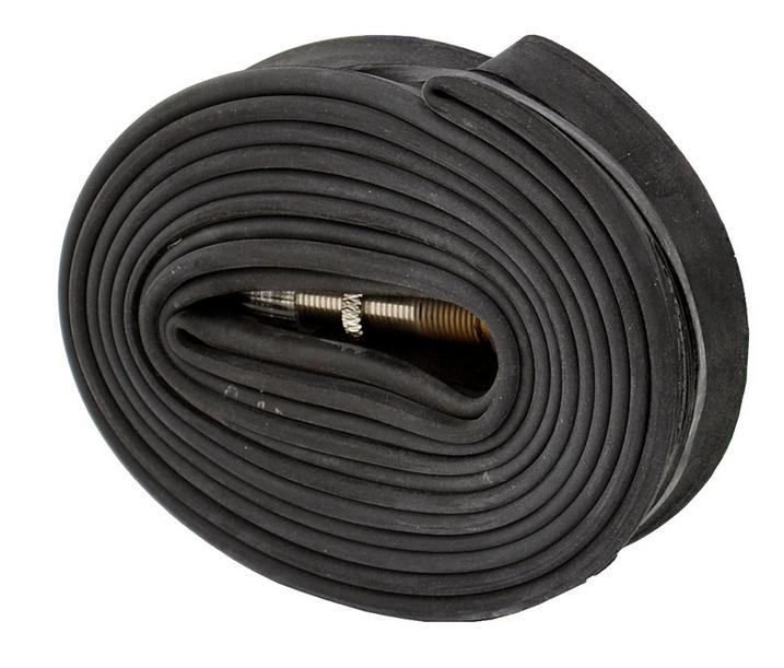 duše schwalbe.JPG