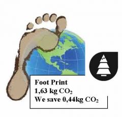 Foot Print logo June.jpg